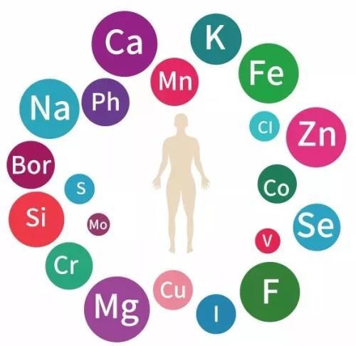 微量元素檢測(cè)儀品牌兒童有沒(méi)有必要檢測(cè)微量元素，儀器檢測(cè)的原理