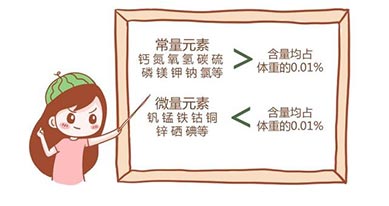 兒童微量元素分析儀器是什么檢查項目可以吃飯嗎？值不值得買