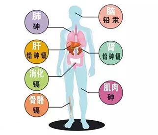 國內(nèi)微量元素測(cè)試儀品牌關(guān)于微量元素那些你不知道的事情值得收藏